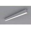 Pendent/Surface Mounting Linear Light FL5070